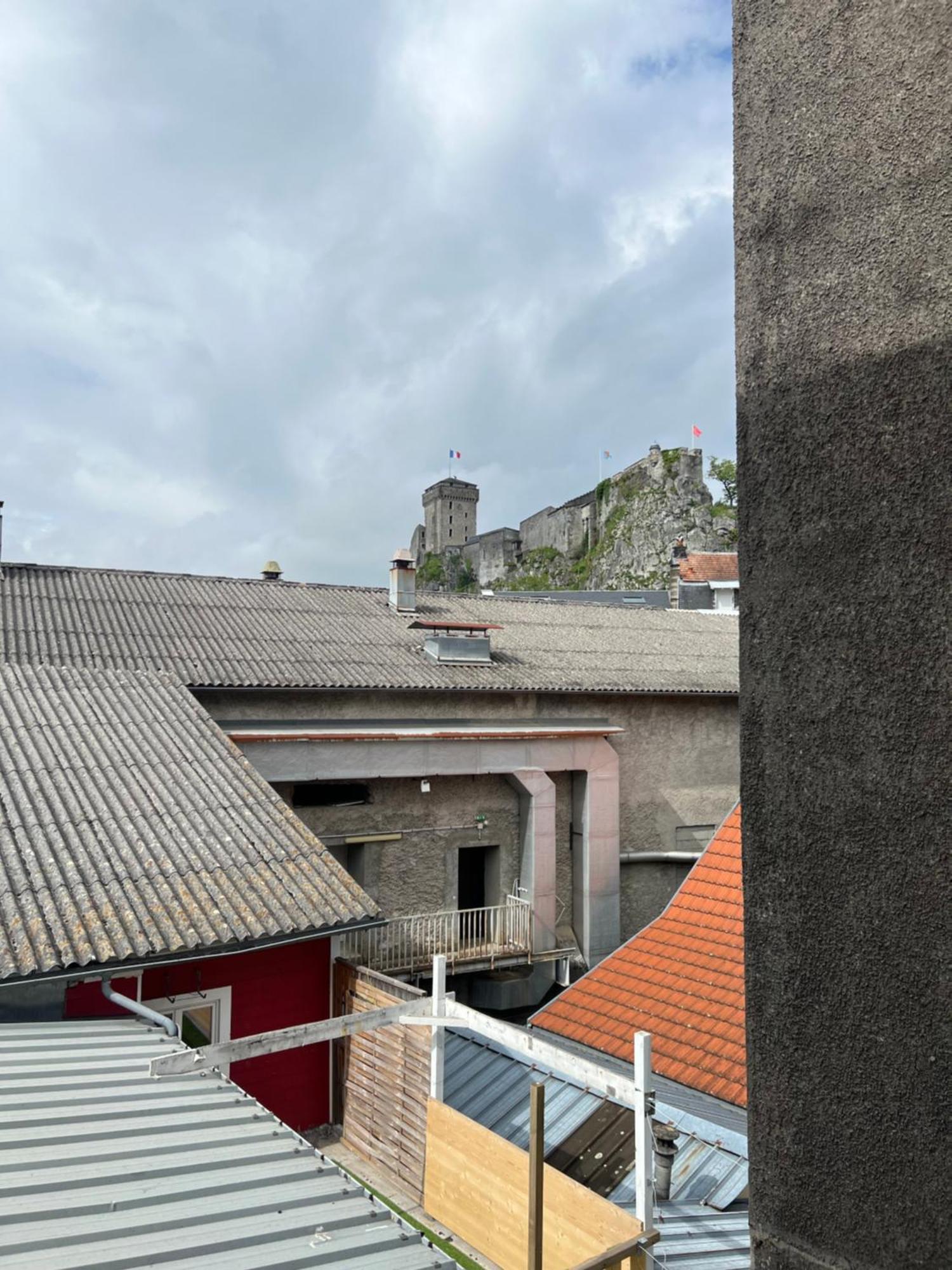 Residence Sainte Therese - La Villa Selva Lourdes Dış mekan fotoğraf
